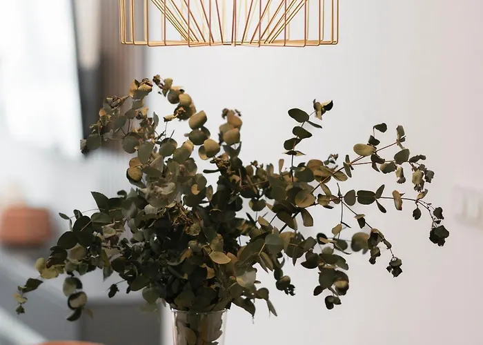 Edificio Botanica Centro By Renthas Daire