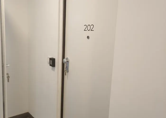 Edificio Botanica Centro By Renthas Alicante