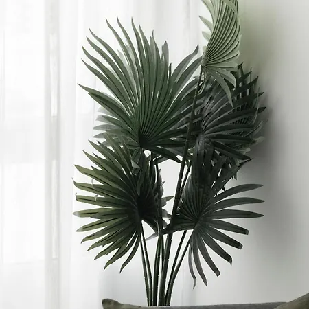 Apartament Edificio Botanica Centro By Renthas *
